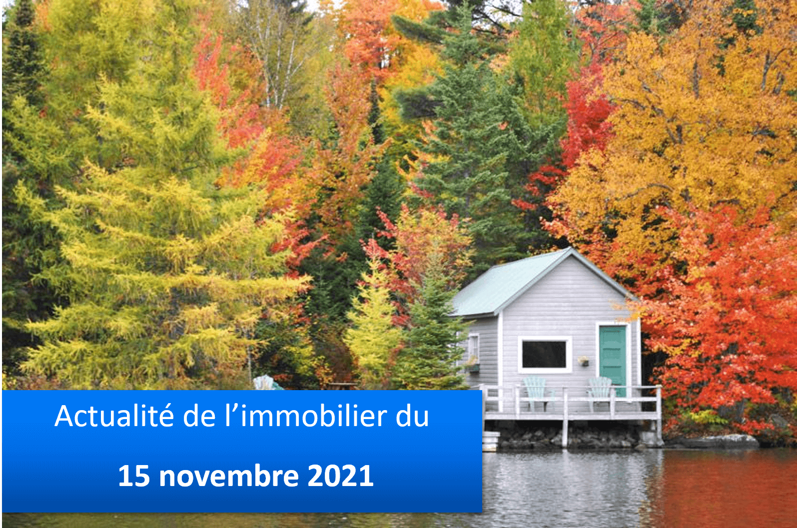 Actualité de l’immobilier du 15 novembre 2021